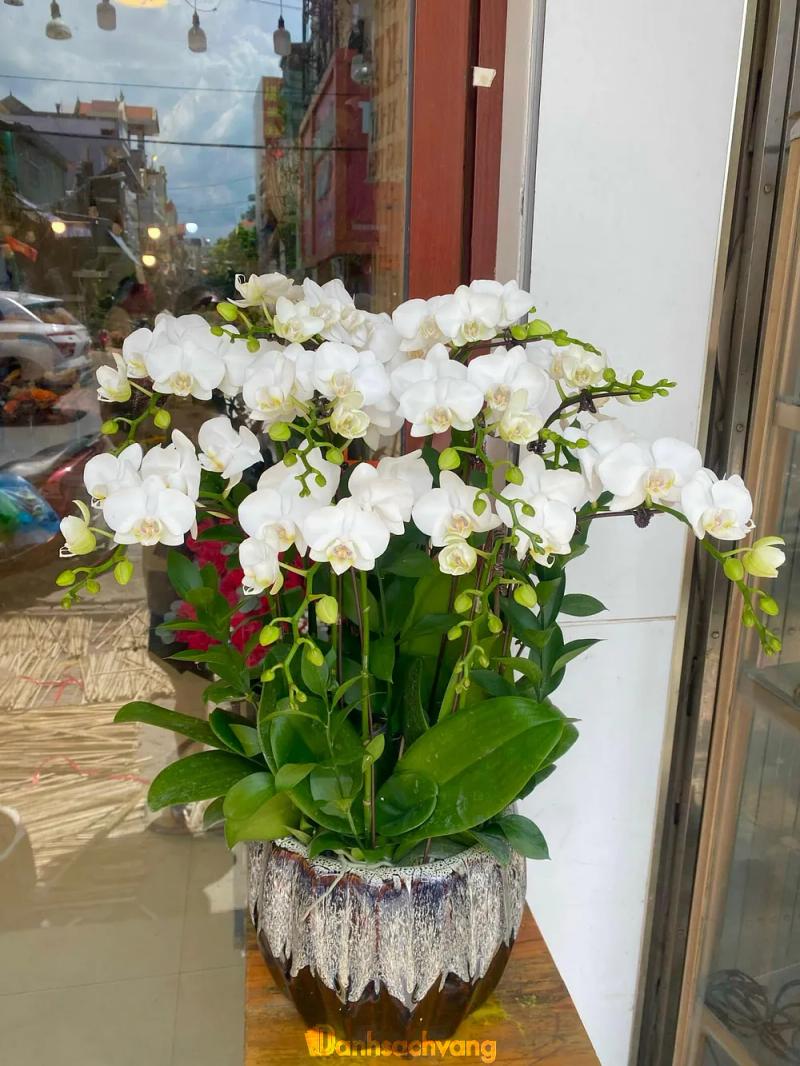 Hình ảnh hoa-tuoi-sunny-145-ho-thi-ky-quan-10-5
