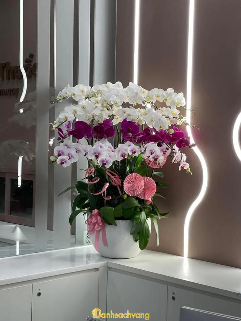 Hình ảnh Susu Flowers: 2 Đường số 16, KDC Him Lam, Quận 7
