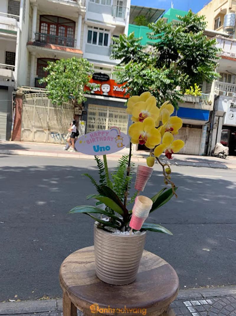 Hình ảnh flower-box-orchid-88-dinh-tien-hoang-quan-1-2