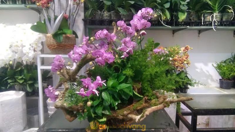 Hình ảnh flower-box-orchid-88-dinh-tien-hoang-quan-1-3