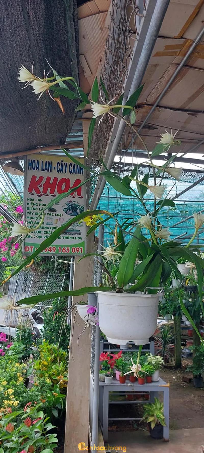 Hình ảnh Shop hoa Anh Khoa: 14 KP5,  H. Ba Tri