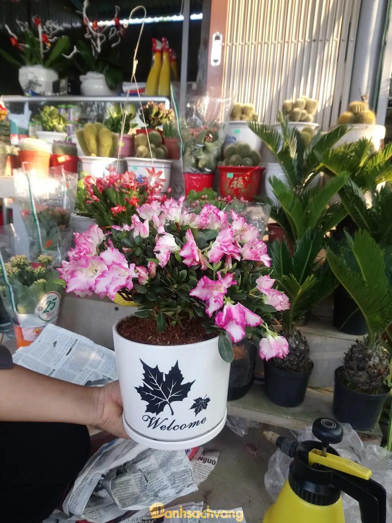 Hình ảnh Shop hoa Anh Khoa: 14 KP5,  H. Ba Tri