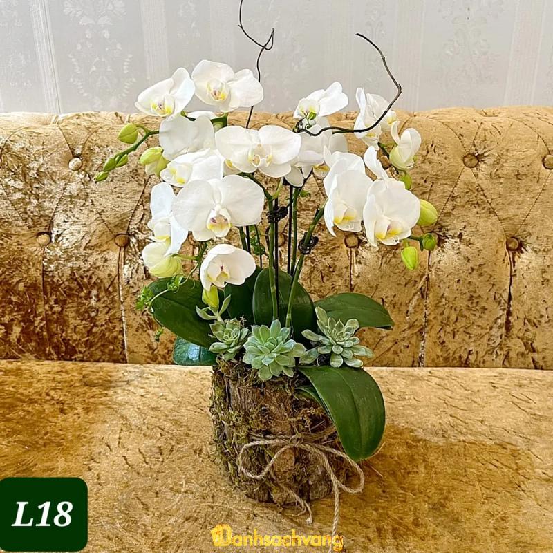 Hình ảnh kayy-florist-72-duong-14-kdc-him-lam-quan-7-5