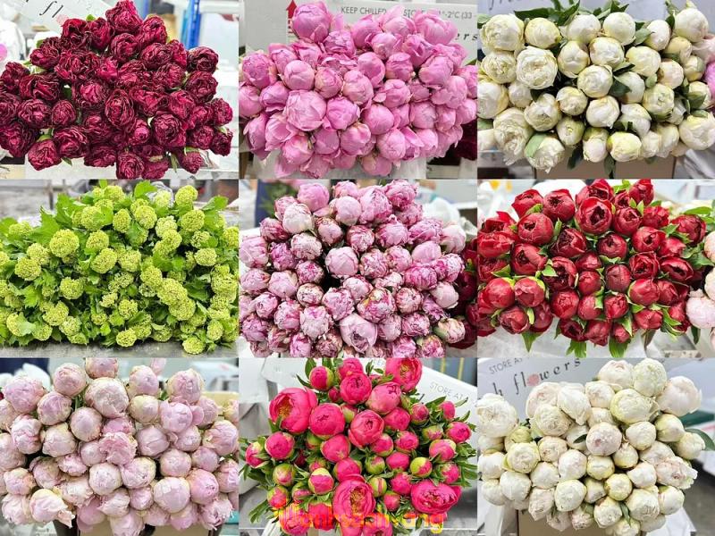 Hình ảnh S Florist: 128 Mai Hắc Đế, Hai Bà Trưng, Hà Nội
