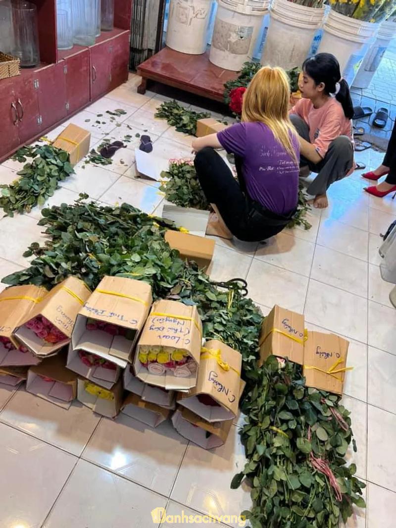 Hình ảnh Hoa Tươi Bích Nguyễn: KP 2, H. Giồng Trôm
