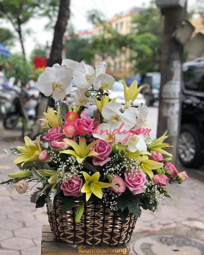 Hình ảnh Andy Flowers: 31 Đường 18M, Hà Đông, Hà Nội