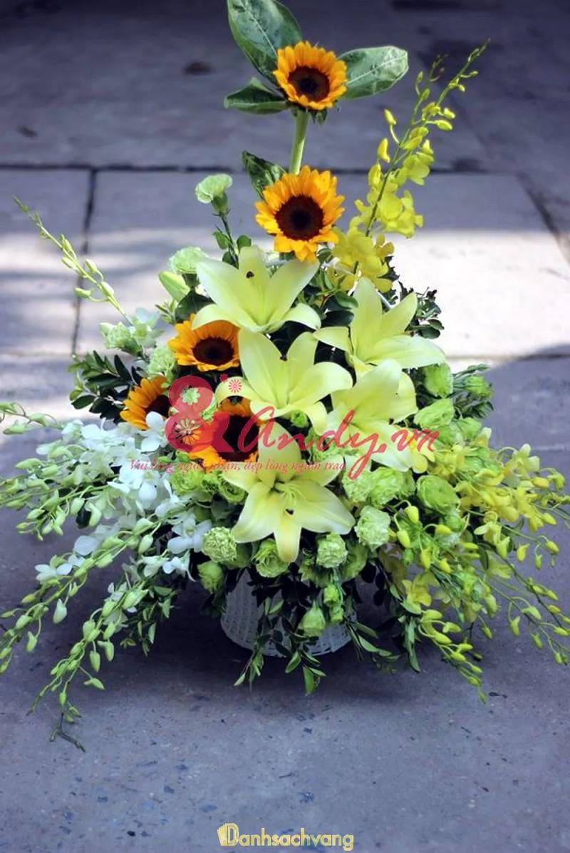 Hình ảnh Andy Flowers: 31 Đường 18M, Hà Đông, Hà Nội