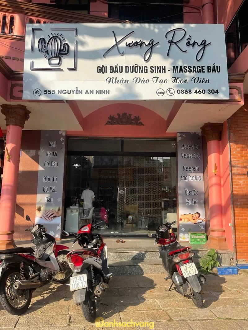Hình ảnh Xương Rồng: 555 Nguyễn An Ninh, TP.Vũng Tàu