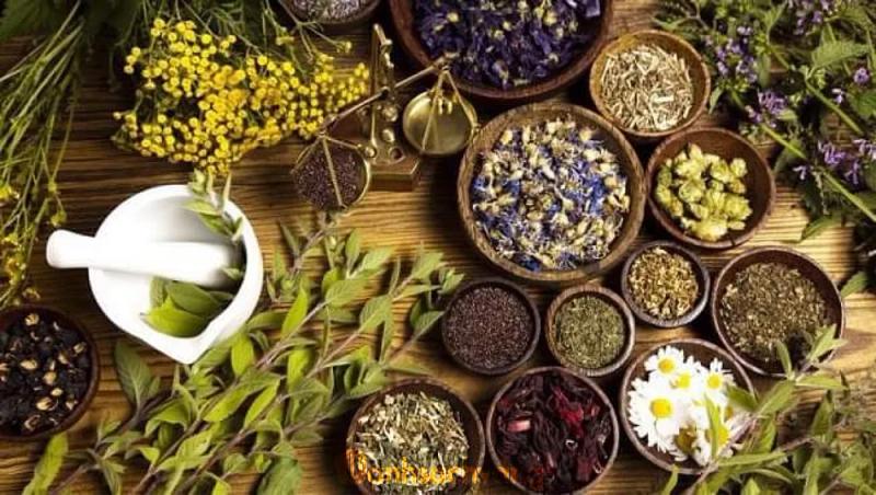 Hình ảnh July Spa: 168/18 Phạm Ngọc Thạch, P. 1,TP. Bảo Lộc