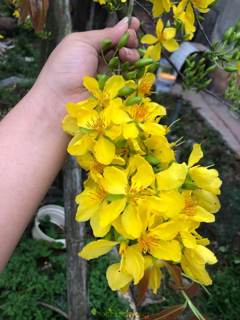 Hình ảnh HOÀI Beauty: Dũng Nhuệ, Duy Nhất, TP. Thái Bình