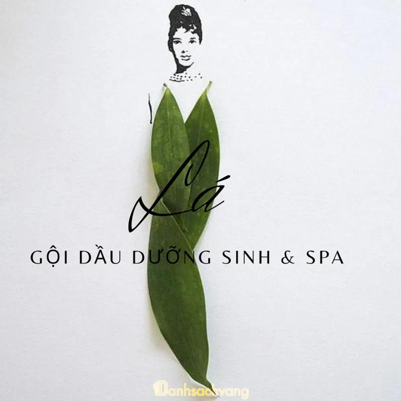 Hình ảnh Lá spa: Suối Cái - Gành Dầu, Gành Dầu, TP. Phú Quốc