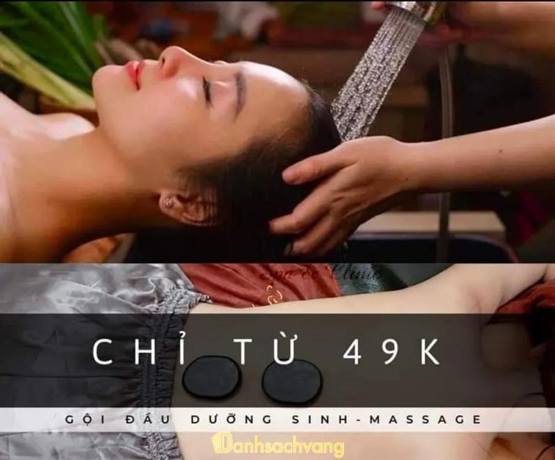 Hình ảnh DK Spa & Clinic: 55 Tỉnh Lộ 38, TP Bạc Liêu