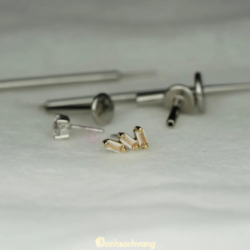 Hình ảnh Duck Piercing: Ngõ 20A Núi Trúc, Quận Ba Đình