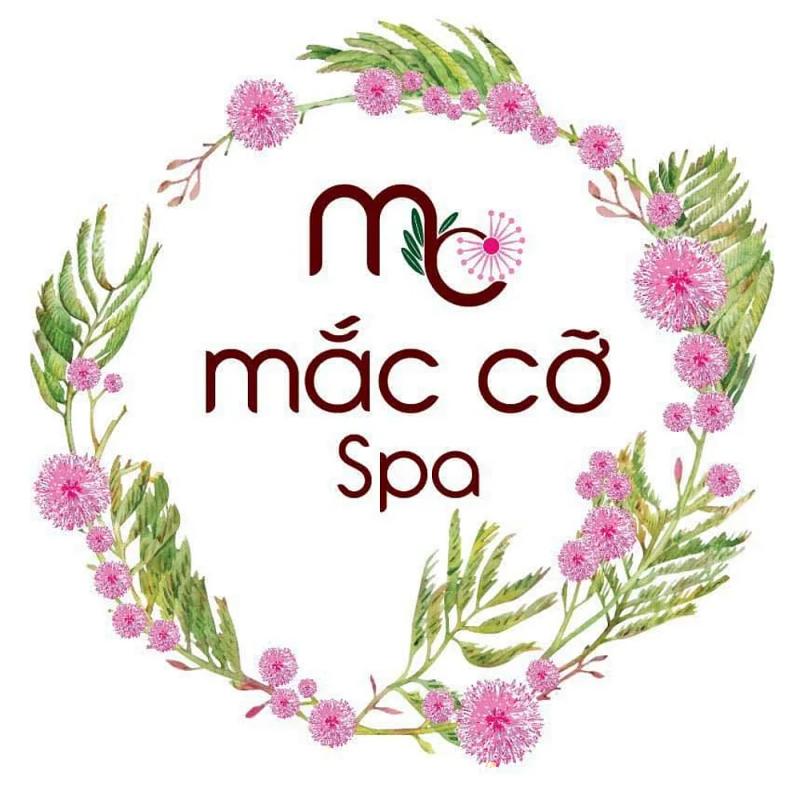 Hình ảnh Spa Mắc Cỡ: 85a Trưng Nữ Vương, Q. Gò Vấp