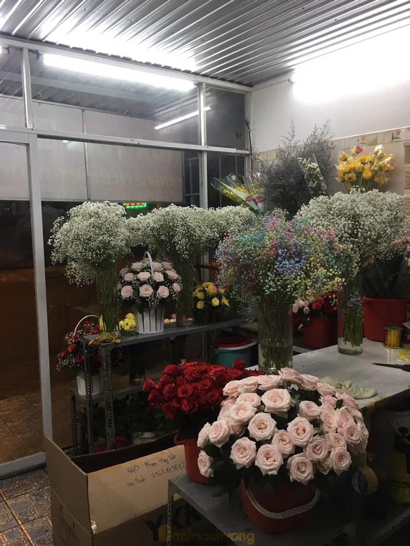 Hình ảnh Hoa tươi Trúc Mây: 440 Phan Huy Ích, Q. Gò Vấp