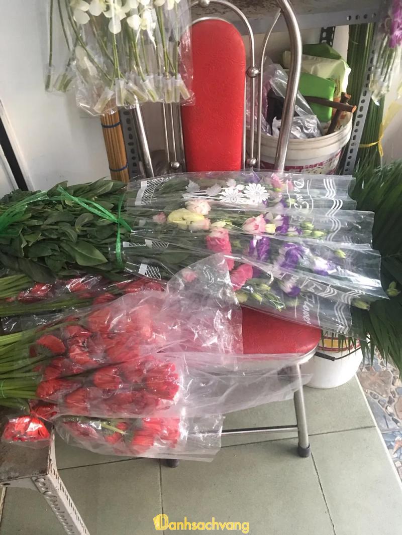 Hình ảnh Hoa tươi Trúc Mây: 440 Phan Huy Ích, Q. Gò Vấp