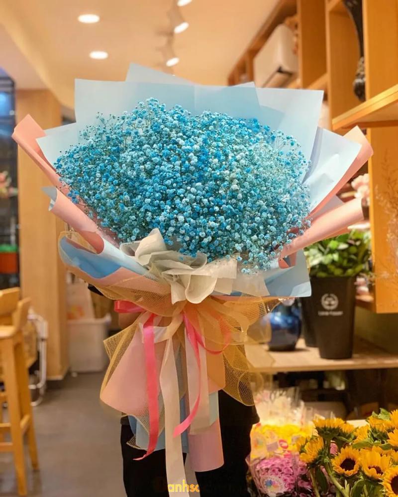 Hình ảnh Hoa Tươi - Hoa đẹp Gò Vấp: 14 Thống Nhất, Q. Gò Vấp