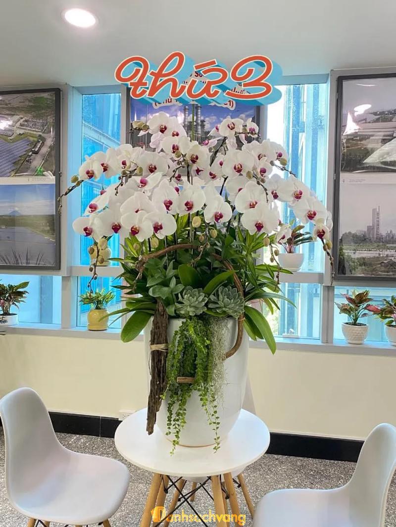 Hình ảnh Shop Hoa Tươi Phúc 369: 202A Vườn Lài, Q. Tân Phú