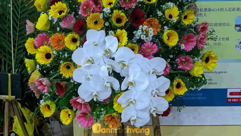 Hình ảnh Hoa Tươi Mai Liên: 36 Lũy Bán Bích, Q. Tân Phú