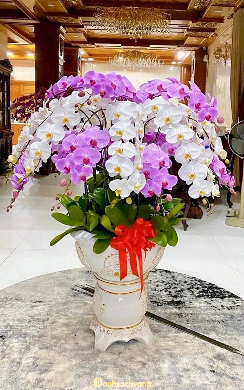 Hình ảnh Hoa Tươi Bảo Anh: 81 Nguyễn Thị Thập, Q.7