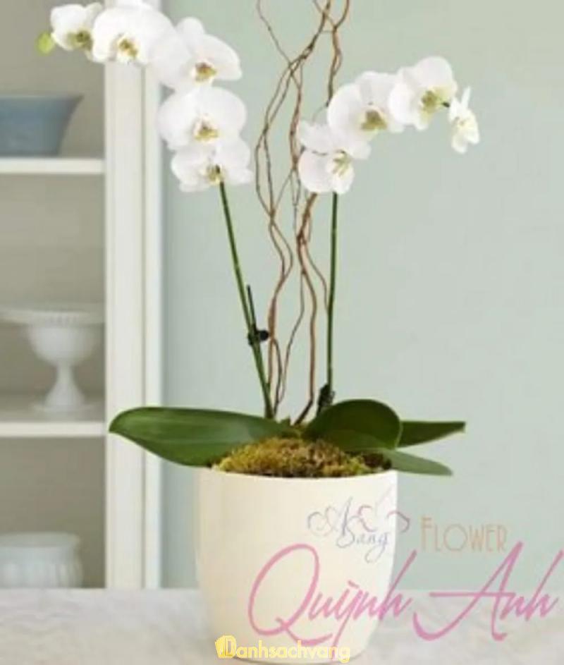 Hình ảnh Quỳnh Anh flower: 156/3 Nguyễn Văn Linh, Q.7