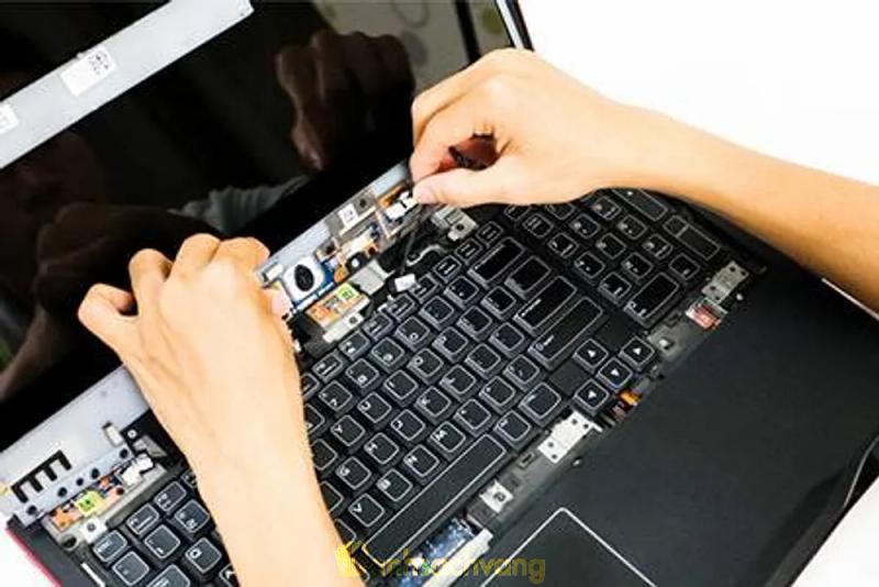Hình ảnh Tường Vi Tính: 296 Nhật Tảo, Q. 10