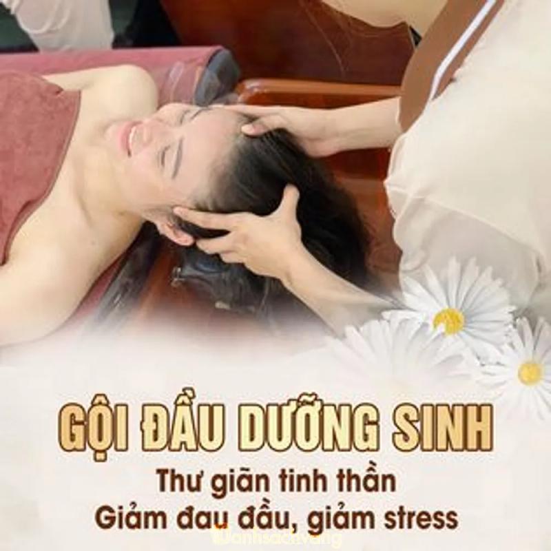 Hình ảnh Dưỡng Sinh Phúc Thảo: 331 Hoàng Sa, Q. 1