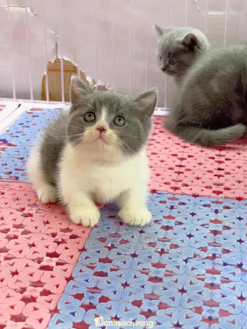 Hình ảnh Tùng Lộc Pet: 151 Hồ Đắc Di, Q. Đống Đa