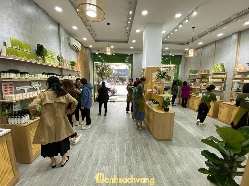 Hình ảnh Cỏ Mềm Vinh: 252 Nguyễn Văn Cừ, TP Vinh