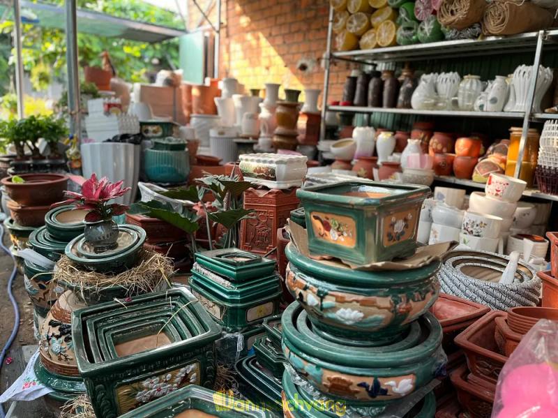 Hình ảnh Cây cảnh Quy Nhơn - Nhà vườn 194 Hoàng Văn Thụ