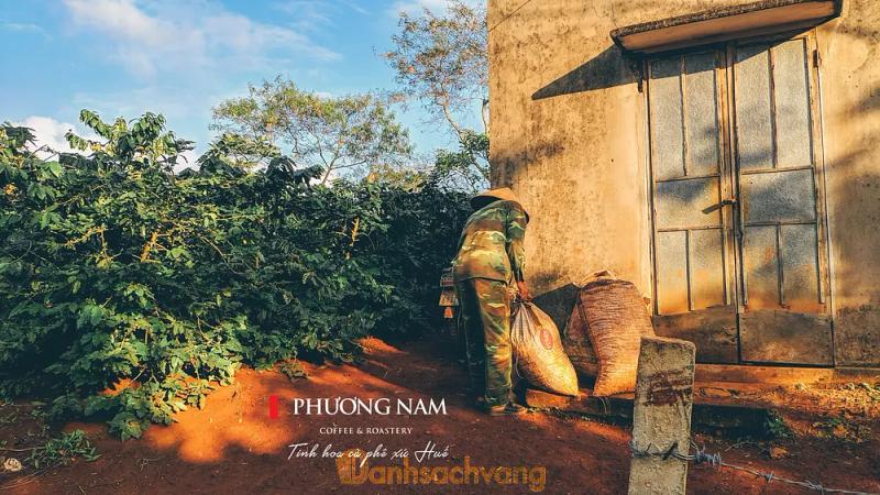 Hình ảnh Cà Phê Phương Nam: 14 Nguyễn Văn Trỗi, TP Huế