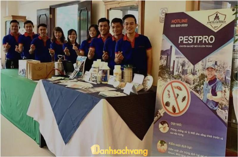 Hình ảnh Diệt mối PESTPRO: 79 Bửu Đóa, TP Nha Trang