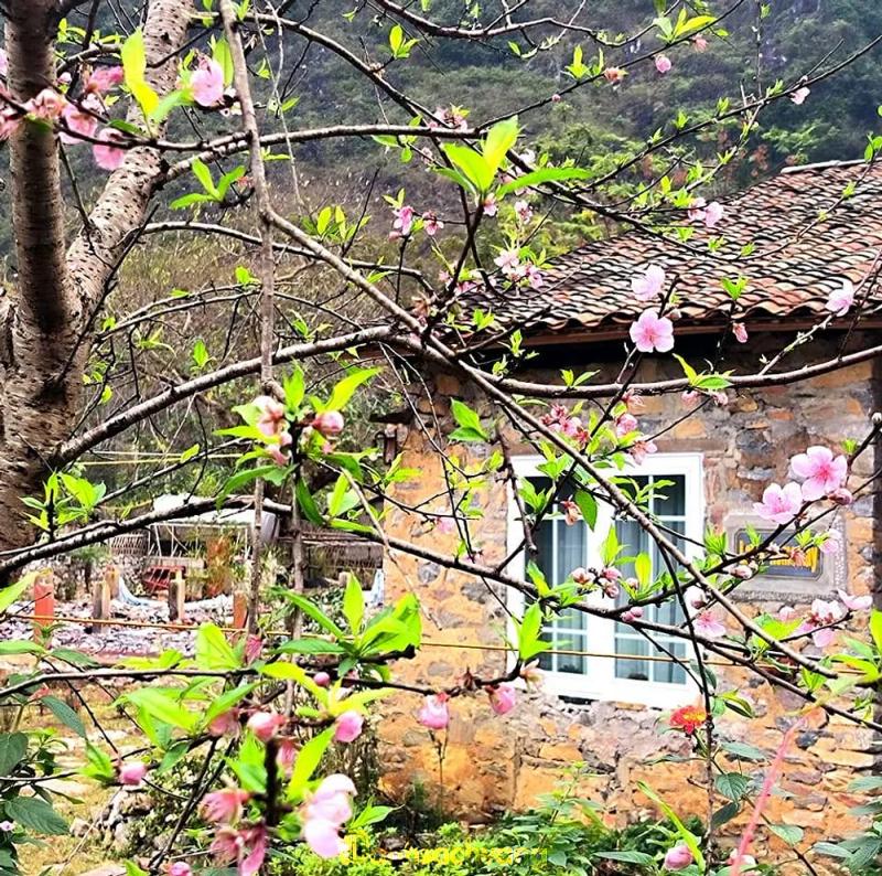 Hình ảnh Lan's Homestay: Háng thoang, Cao Bằng