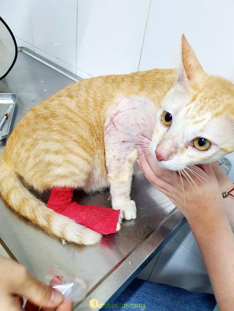 Hình ảnh Trung Tâm Chăm Sóc Chó Mèo Vet Care: 174 Nguyễn Thị Minh Khai, Q. Ninh Kiều