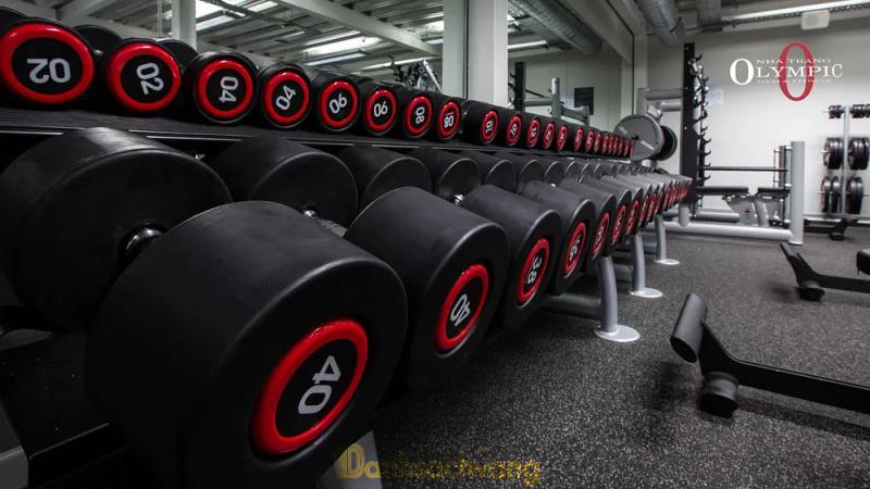 Hình ảnh Olympic Nha Trang Gym & Fitness: 51 Lê Hồng Phong, TP. Nha Trang