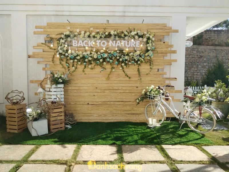 Hình ảnh Trinh Nguyễn Wedding: 58c Thi Sách, TP. Đà Lạt
