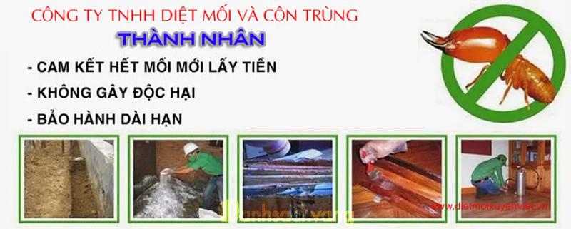 Hình ảnh Công Ty Diệt Mối và Côn Trùng Thành Nhân: Quang Trung, TP. Quảng Ngãi