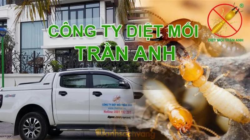 Hình ảnh Công Ty Diệt Mối Trần Anh: 161/10 Nguyễn Thụy, TP. Quảng Ngãi