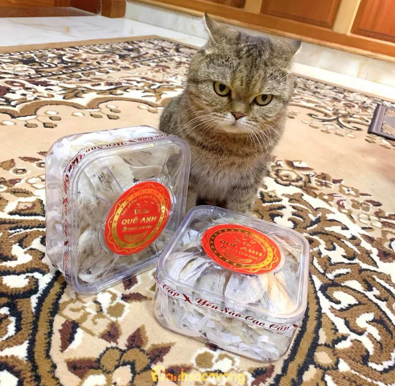 Hình ảnh Yến Sào Quế Anh: Tổ 14 ấp 4, Trừ Văn Thố, H. Bàu Bàng