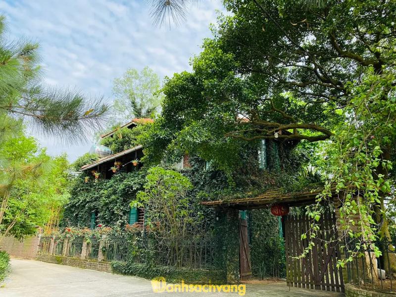 Hình ảnh Jungle House Bắc Ninh: Hiên Vân, H. Tiên Du