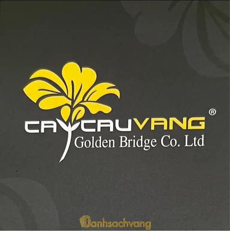 Hình ảnh hoa-tuoi-cay-cau-vang-hoang-hoa-tham-quan-tan-binh-tphcm-0