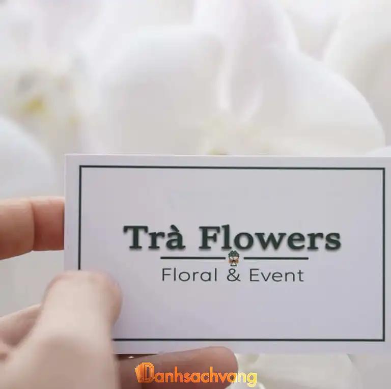 Hình ảnh hoa-tuoi-tra-flowers