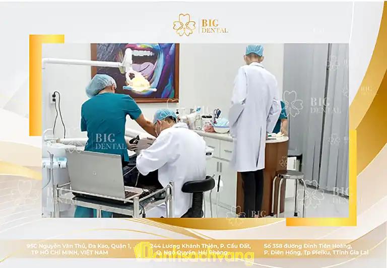 Hình ảnh Nha Khoa Big Dental: 49 Nguyễn Tất Thành, Tp Pleiku