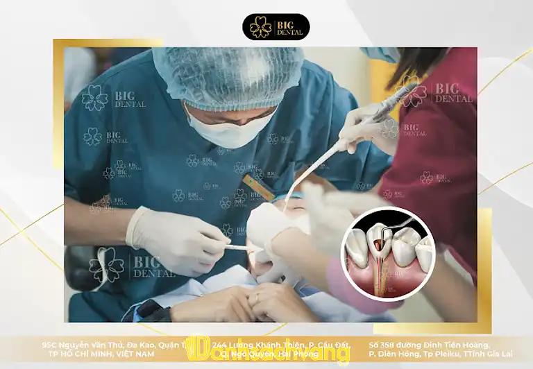 Hình ảnh Nha Khoa Big Dental: 49 Nguyễn Tất Thành, Tp Pleiku