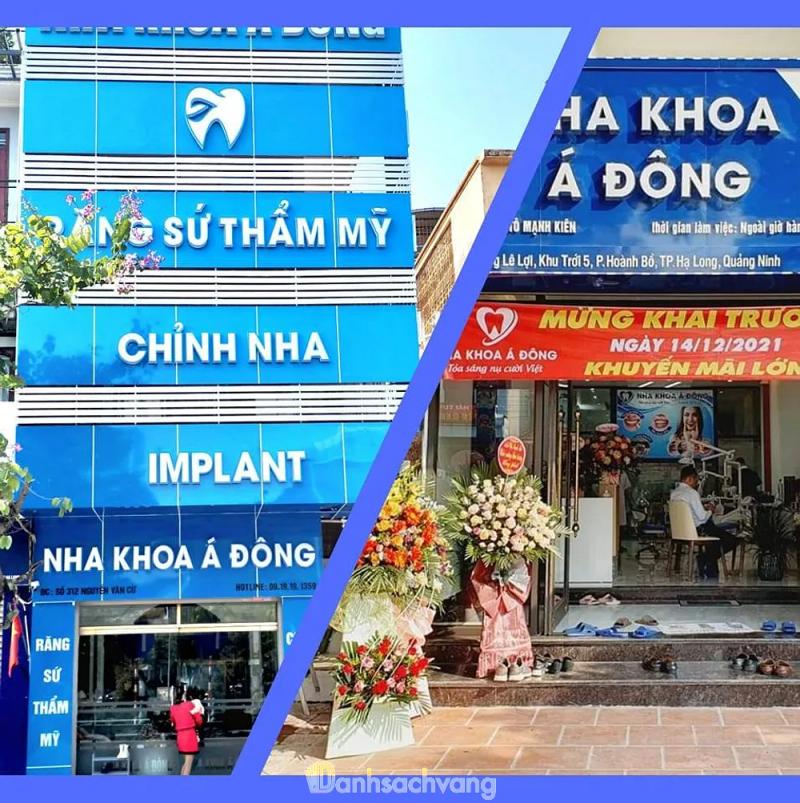 Hình ảnh Nha Khoa Á Đông: 227 Lê Lợi, TT. Trới, TP Hạ Long, Quảng Ninh