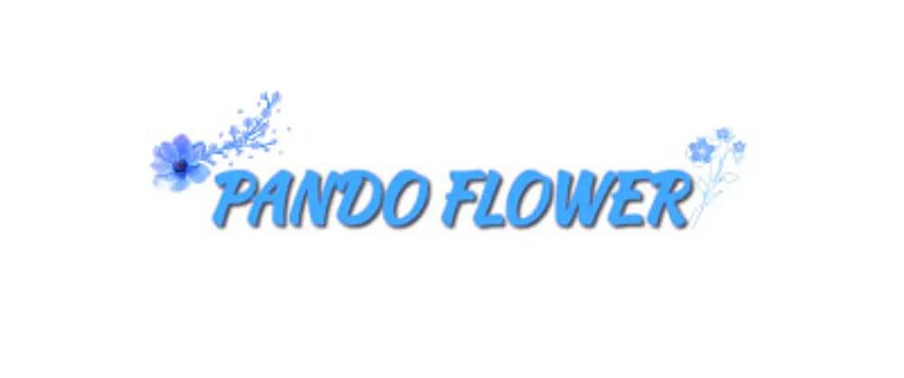 Hình ảnh hoa-pando-43-huynh-tan-phat-nha-be-1