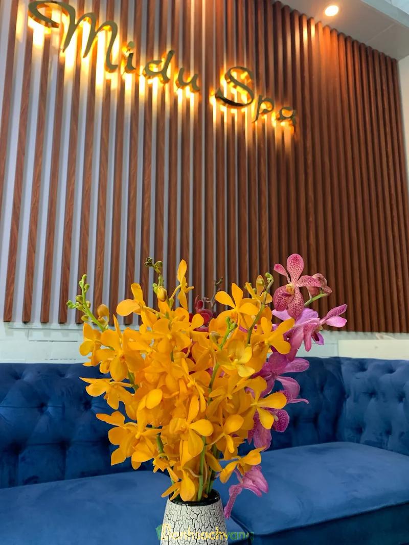 Hình ảnh Thẩm Mỹ Midu Spa: 121 Thống Nhất, Q. Thủ Đức