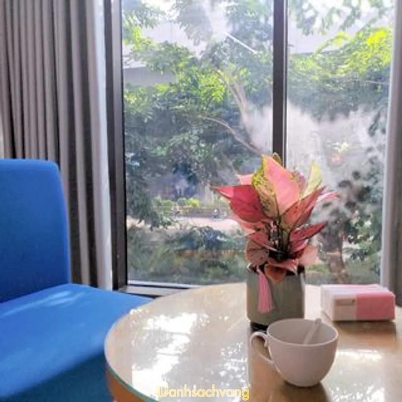 Hình ảnh Phòng tham vấn tâm lý và trị liệu giấc ngủ DrNam: 432 Phạm Văn Đồng, Q.Bắc Từ Liêm