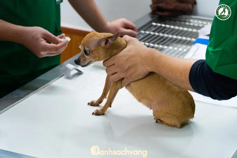 Hình ảnh Bệnh viện Thú y PetHealth Hoàn Kiếm: 30 Thợ Nhuộm, Quận Hoàn Kiếm
