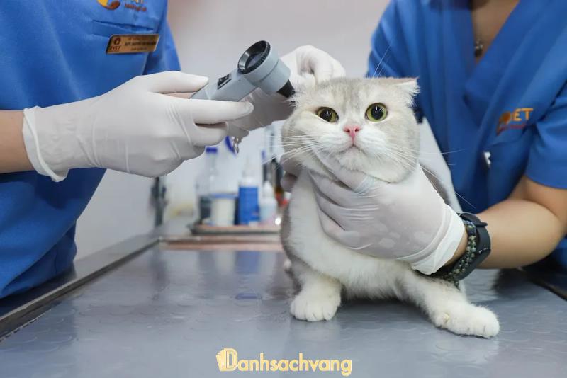 Hình ảnh Bệnh viện Thú y 2Vet Kim Mã: 236 Kim Mã, Quận Ba Đình